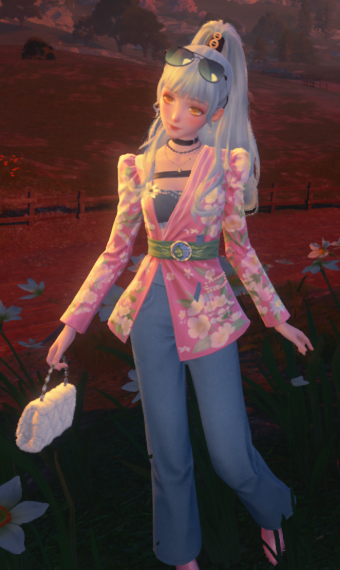 Nikki image