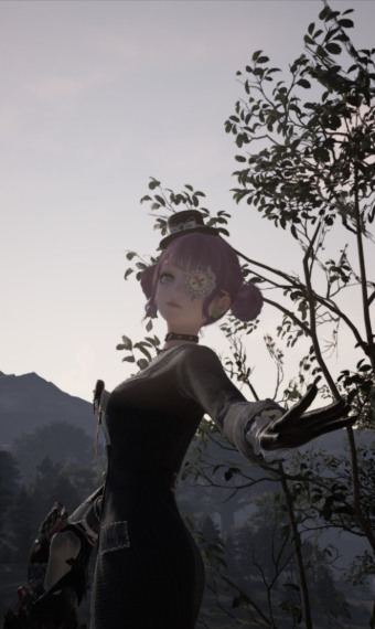 Nikki image