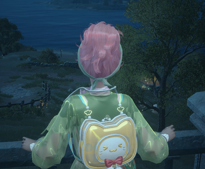 Nikki image