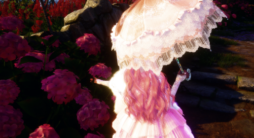 nikki image