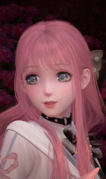 nikki.Name