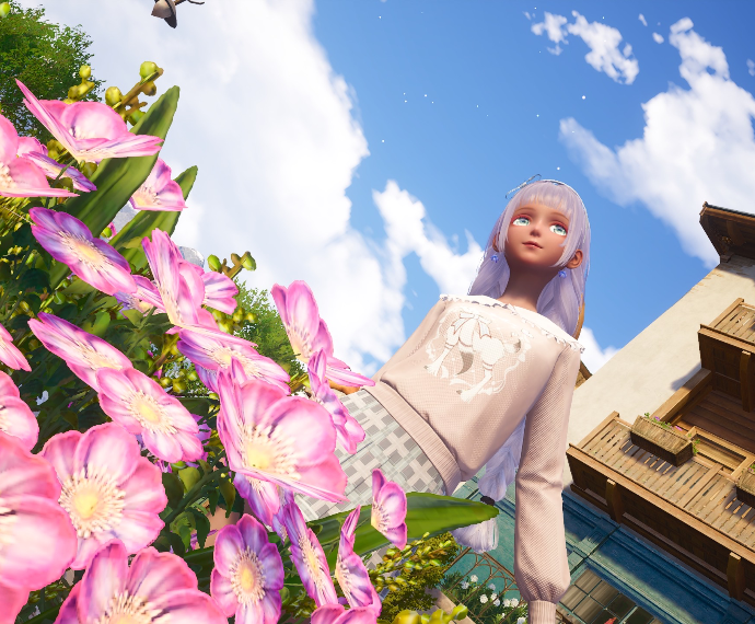 Nikki image