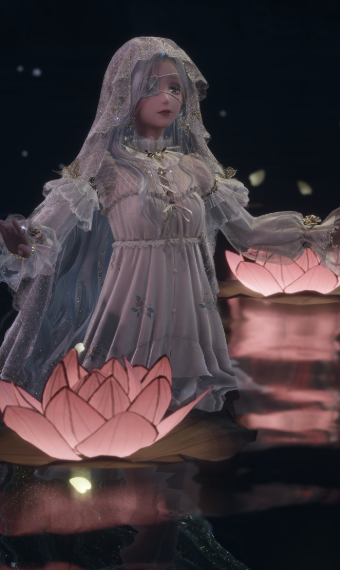 Flower Lanterns image