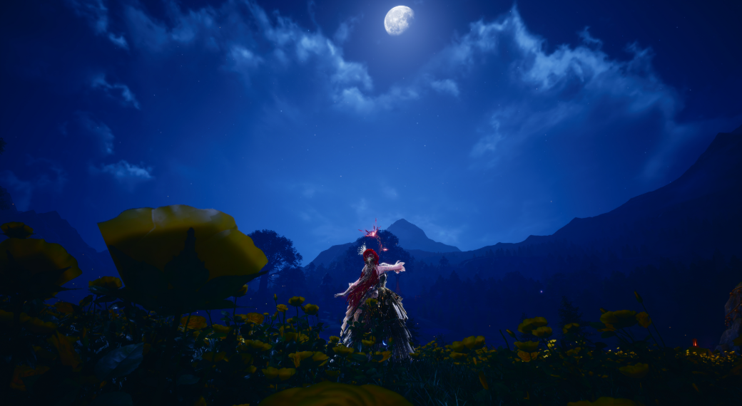 Nikki image