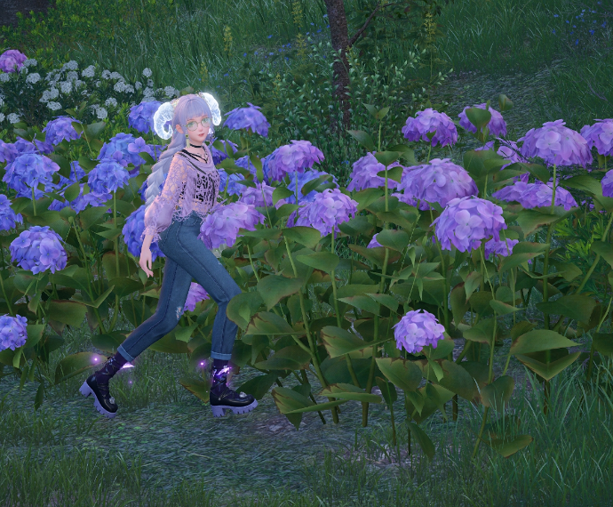 Nikki image