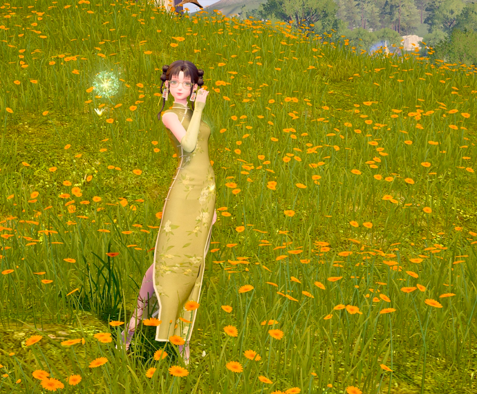 Nikki image