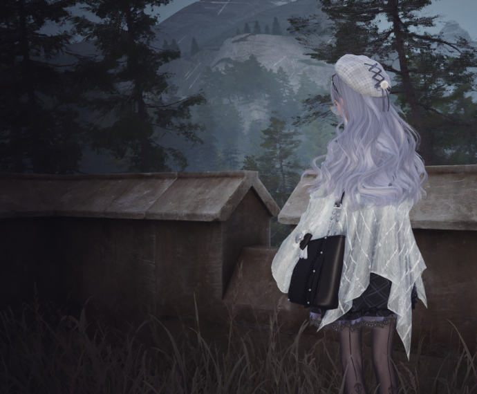Nikki image