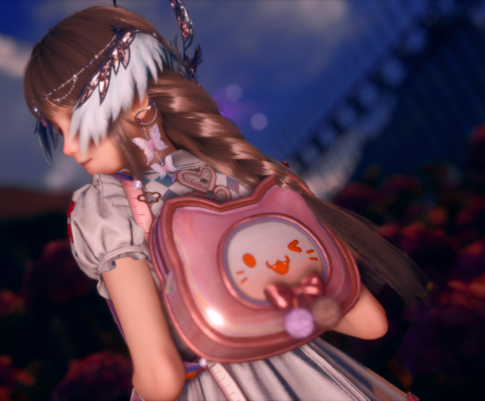 Nikki image