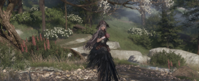 nikki image