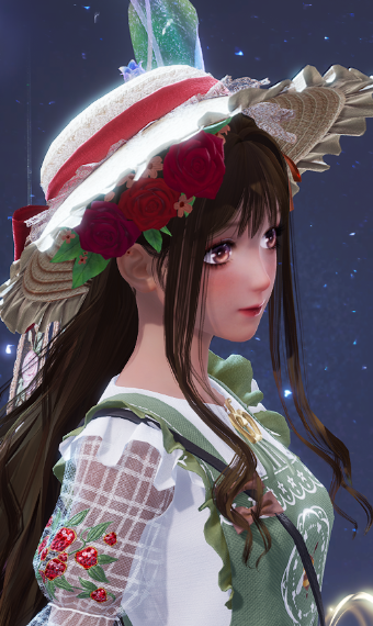 Nikki image