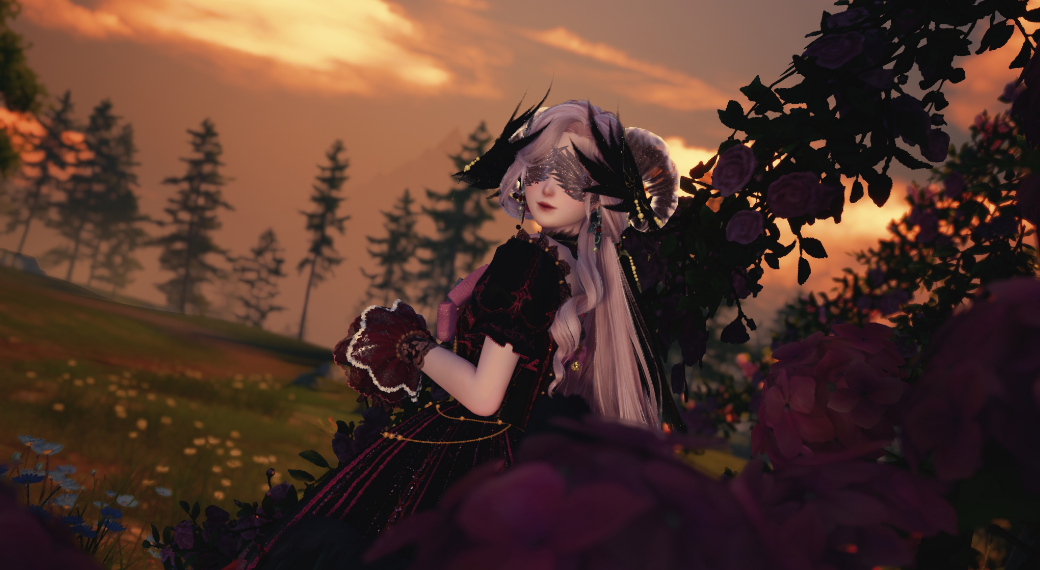 Nikki image