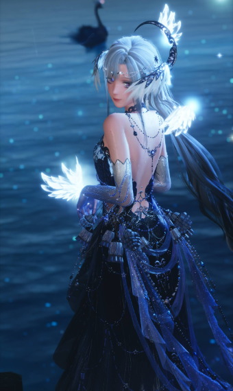 Swan of the Lake image