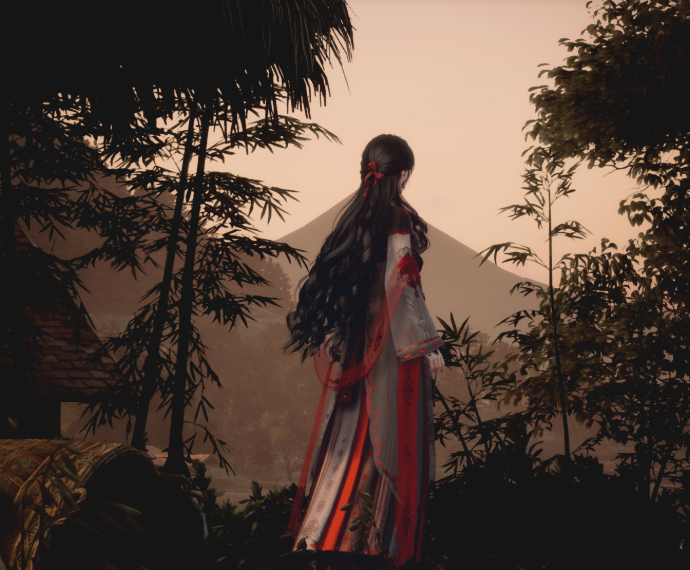 Nikki image