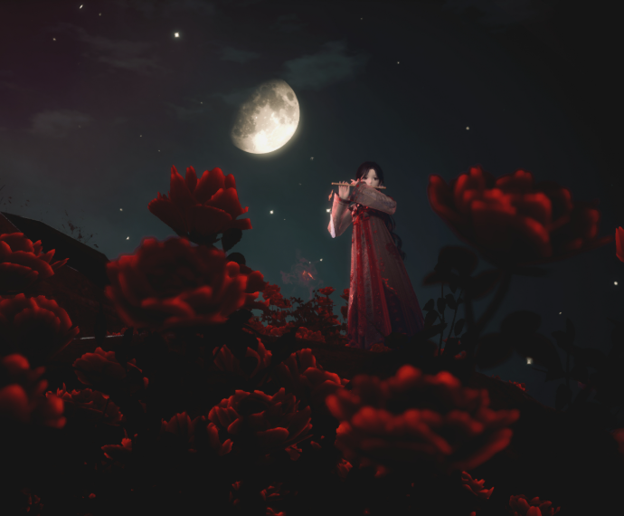 Nikki image