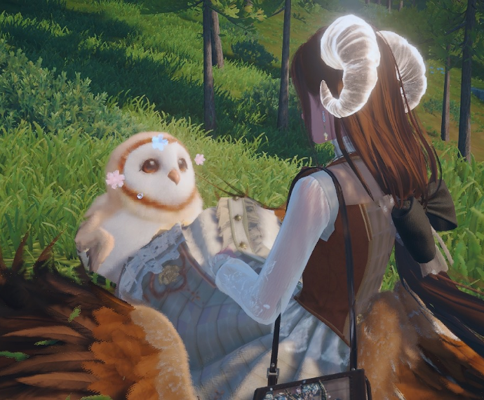 Nikki image