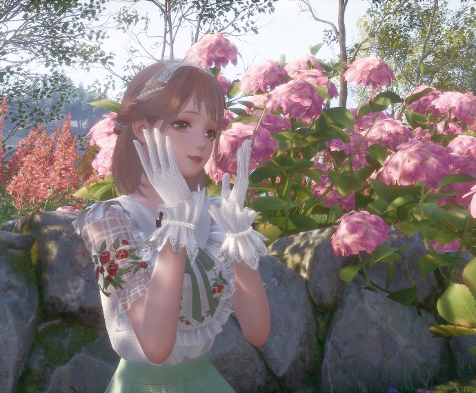 Nikki image