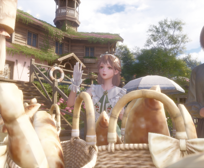 Nikki image