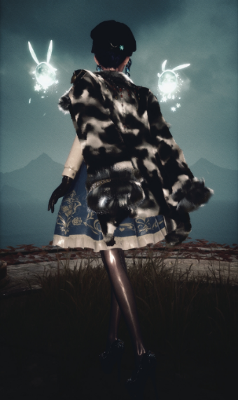 nikki image