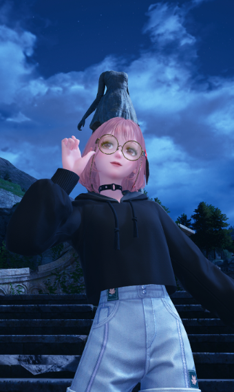 nikki image