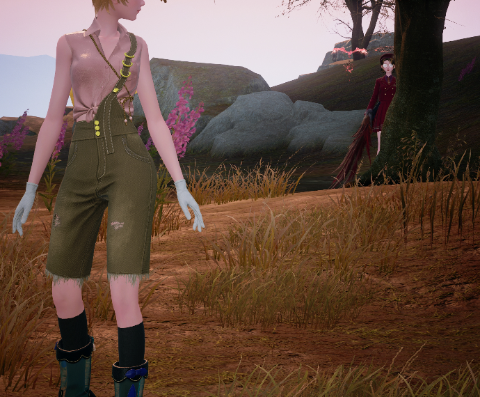 Nikki image