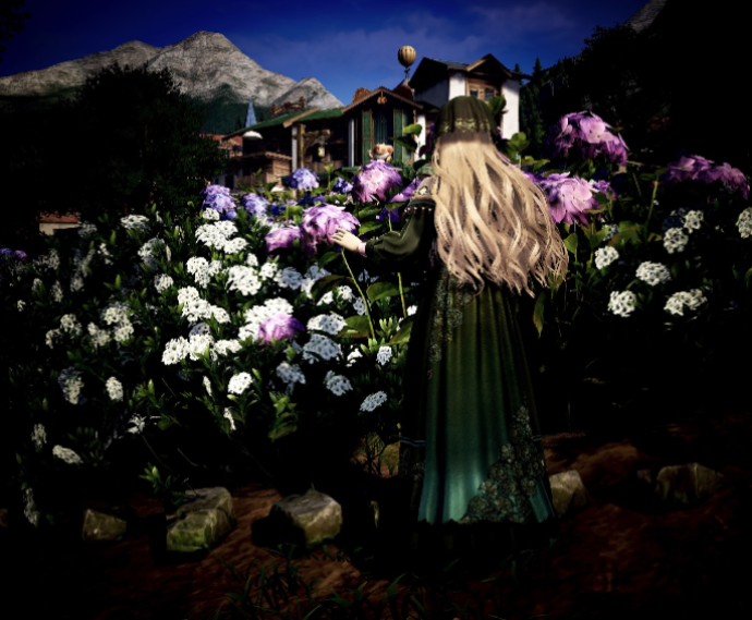 Nikki image