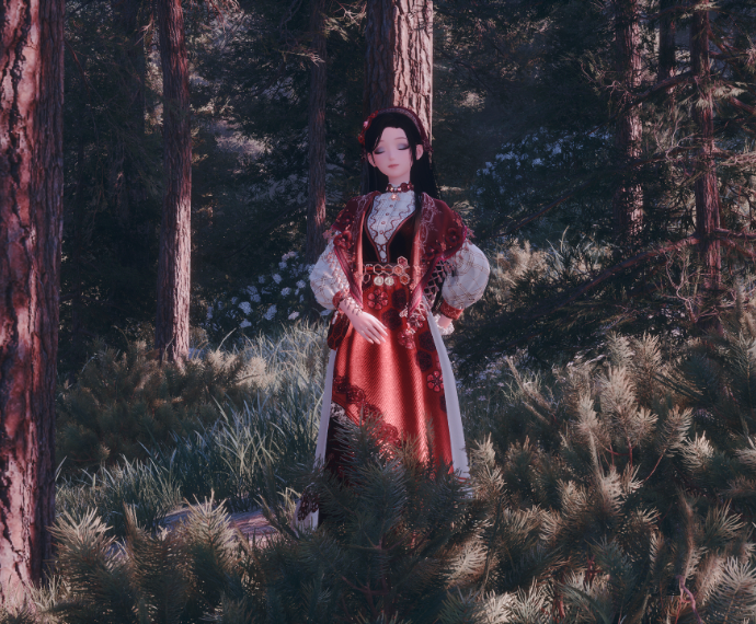 Nikki image