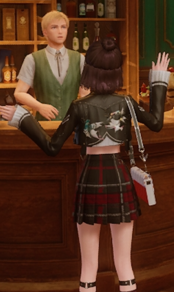 Nikki image