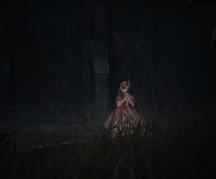 Nikki image