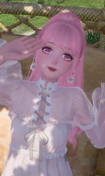 Nikki image