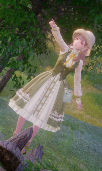nikki image