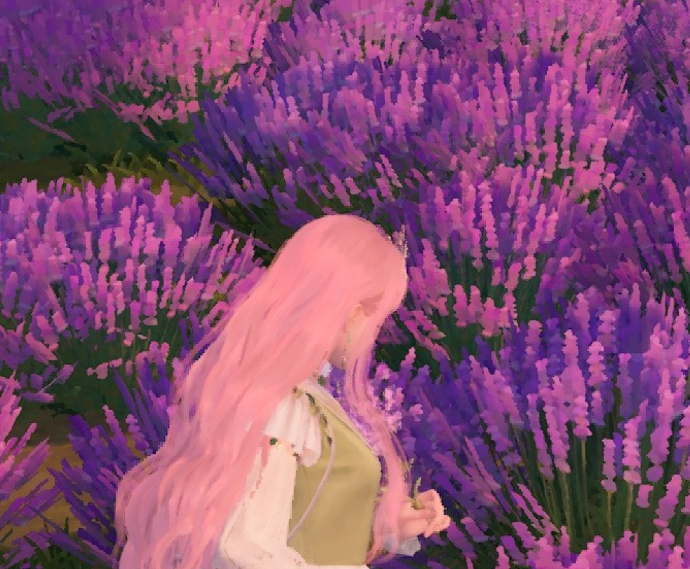 Nikki image