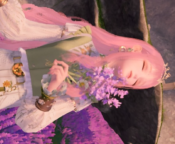 Nikki image