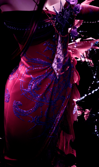 nikki image