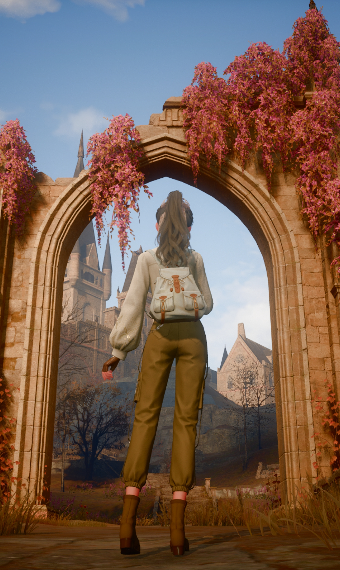 Nikki image