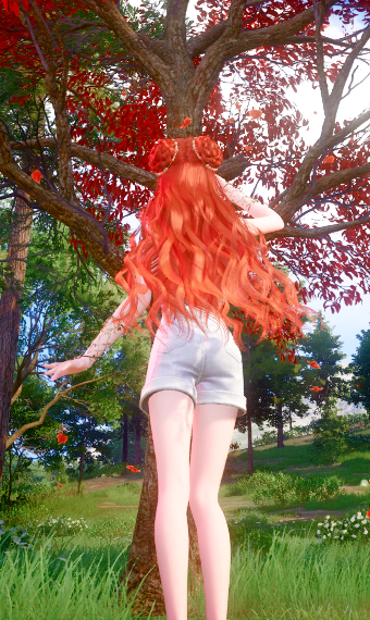 Nikki image
