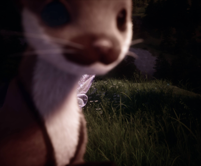 Nikki image