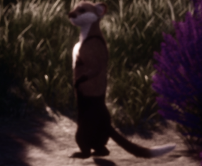 Nikki image
