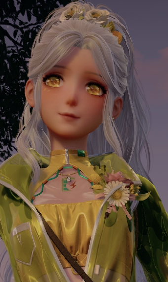 nikki.Name