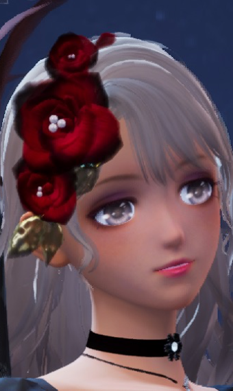 Nikki image