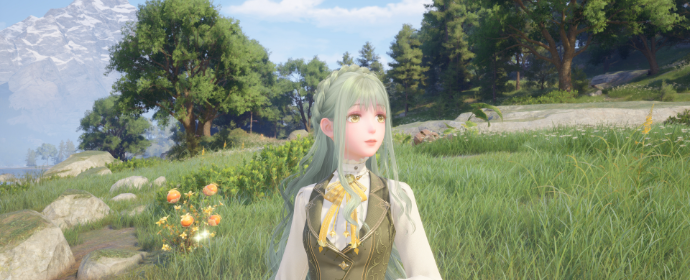 nikki image