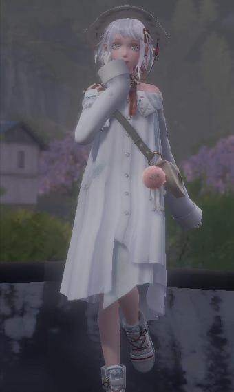 Nikki image
