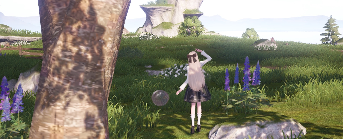 nikki image
