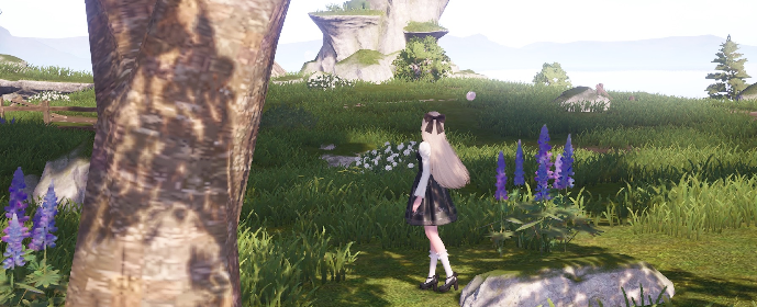 nikki image