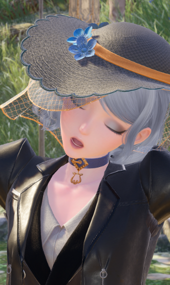 Nikki image