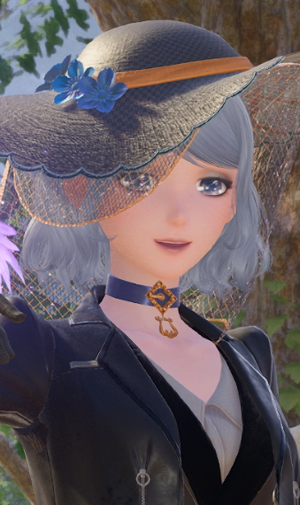 Nikki image