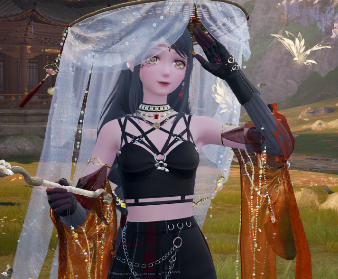 Nikki image