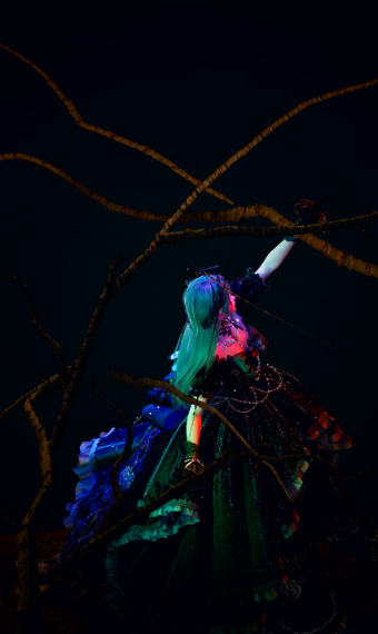 Nikki image