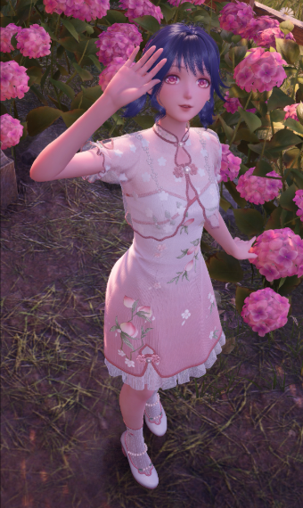 Nikki image