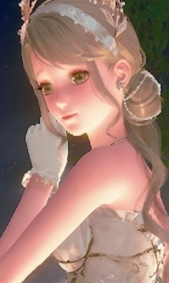 Nikki image