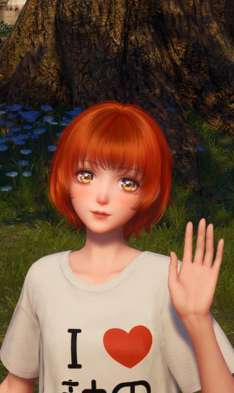Nikki image